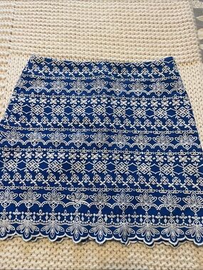 LOFT Blue Floral Embroidered Skirt Size 6P